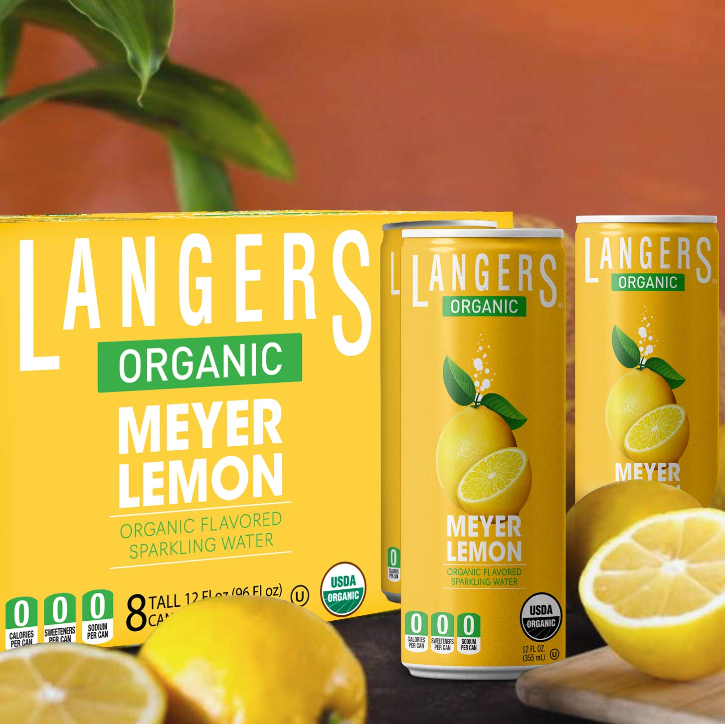Langers Organic Flavored Sparkling Water, Ginger, 12 Fl Oz (Pack of 8)