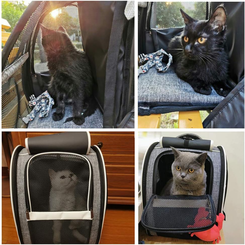 Texsens Innovative Traveler Bubble Backpack Pet Carriers for Cats and Dogs
