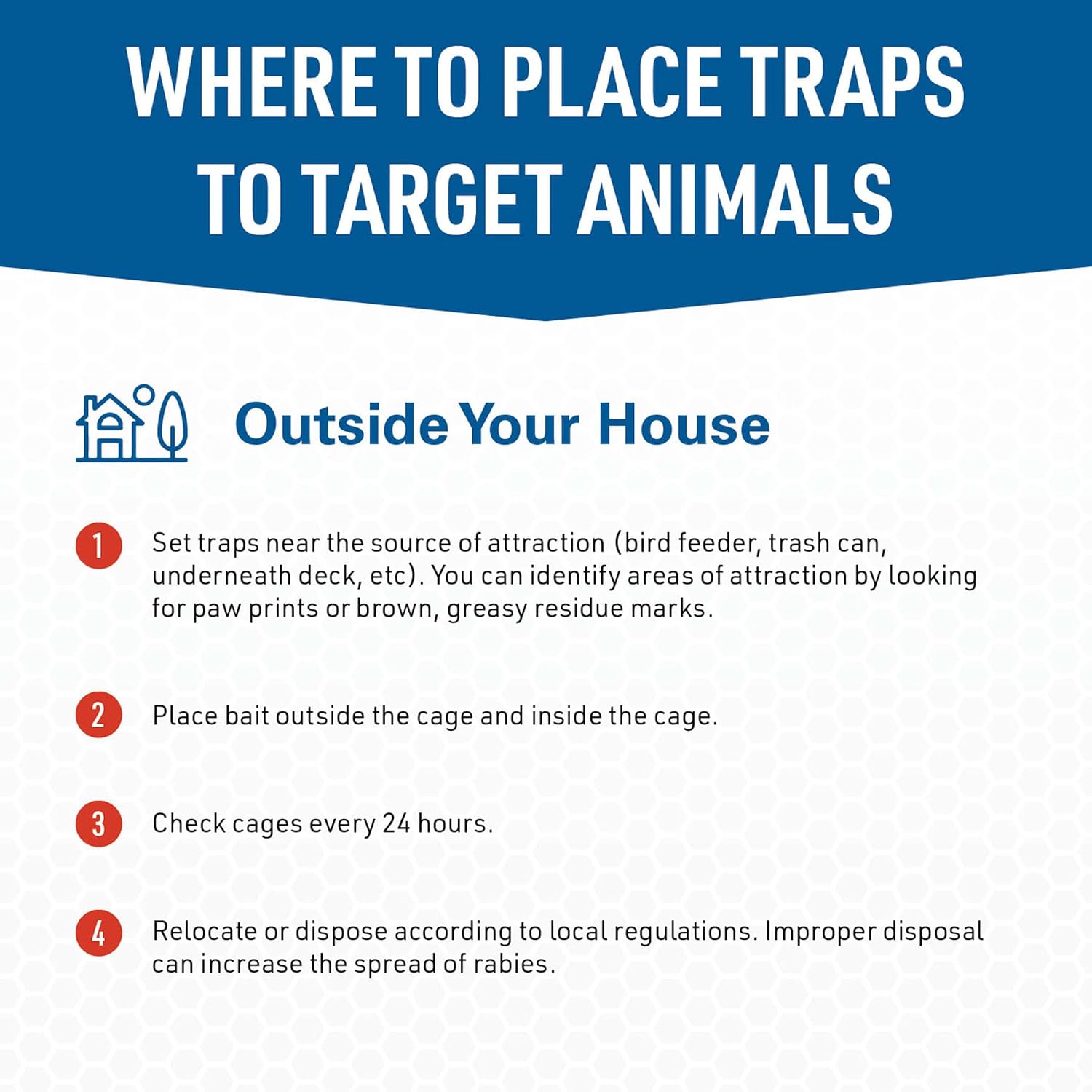 JT Eaton Answer Humane Live Catch Trap for Coyotes & Large Pests | Heavy-Duty Cage Trap; Catches Coyotes, Foxes, and Armadillos; Galvanized Wire; Humane Catch and Release