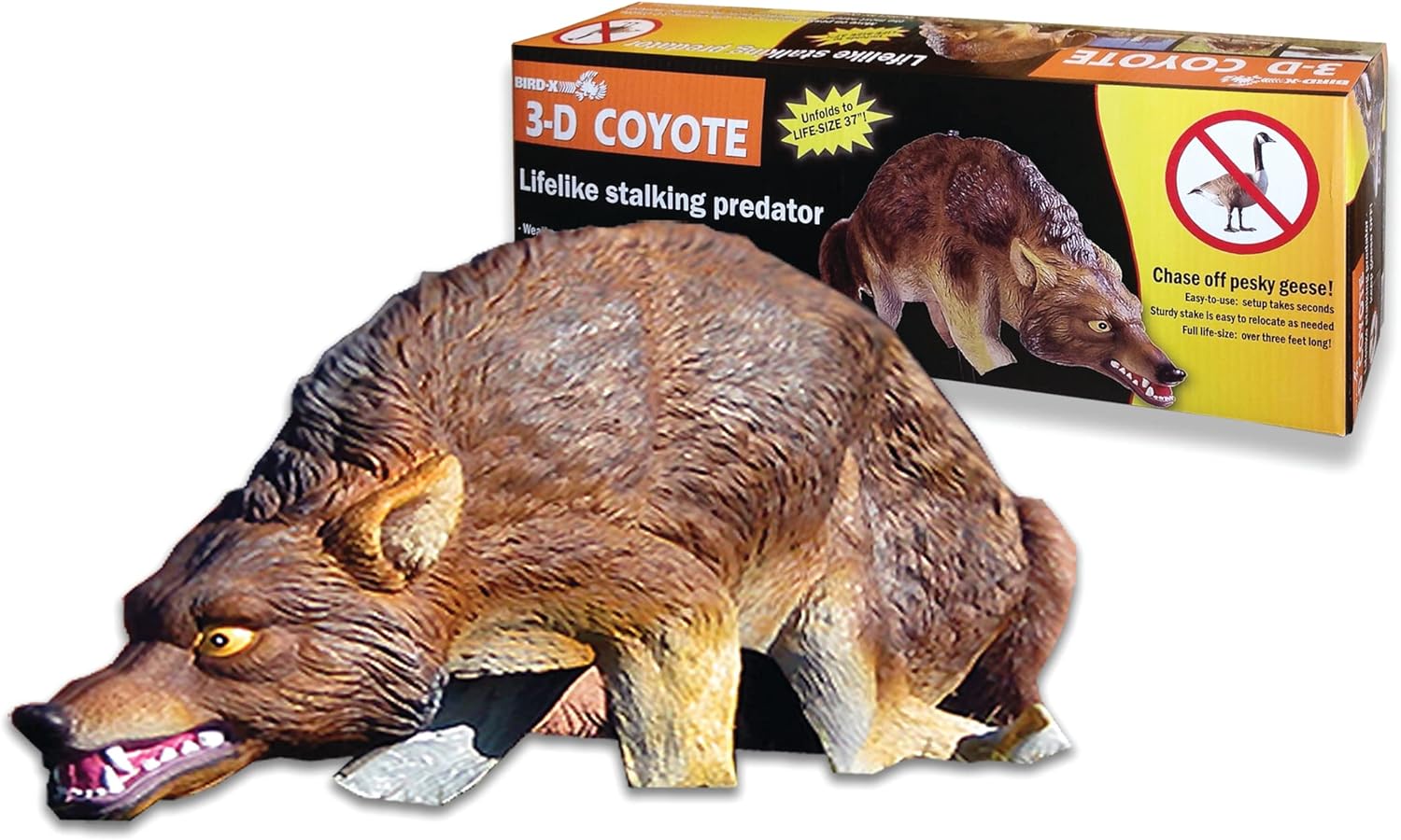 Bird-X 3D Coyote Decoy, Lifelike Predator Replica, Coyote Decoy with Moving Tail and Realistic Markings, Easy to Install, Covers up to 1 Acre of Land