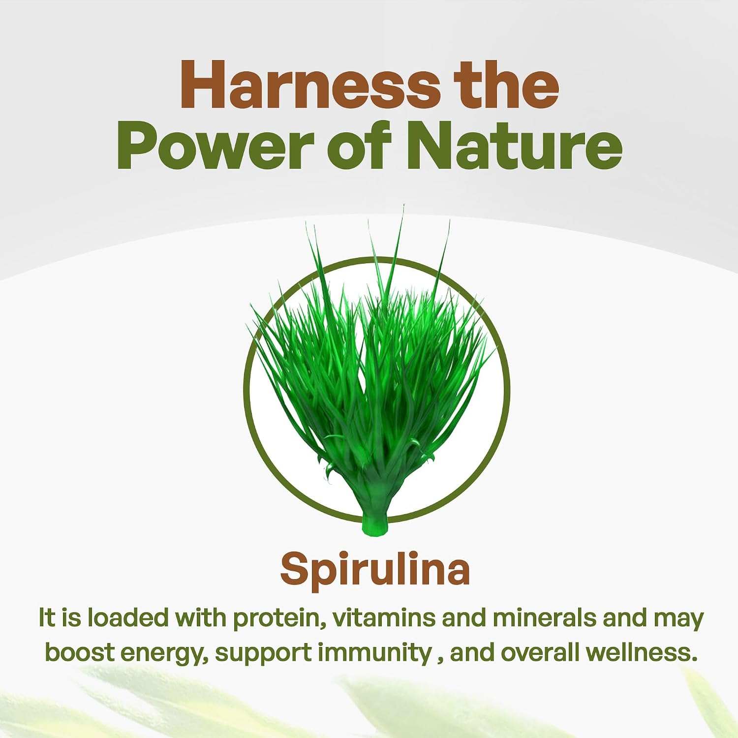 Organic Spirulina Powder, Herbal Supplement Superfoods, 16 Ounce | Pure Non-GMO Green Superfood with Antioxidants, Minerals, Fatty Acids, Fiber