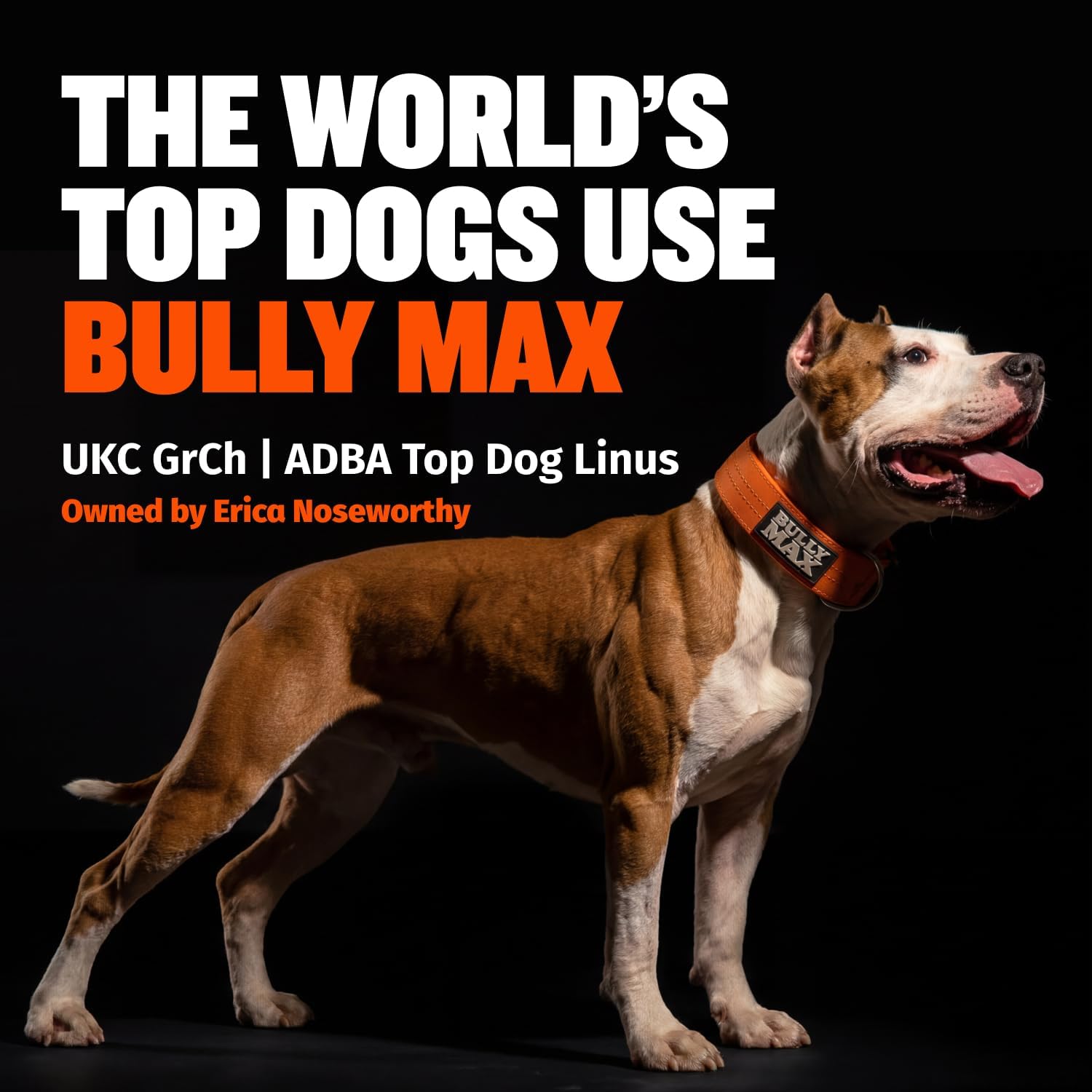 Bully Max Dry Dog Food for Adults & Puppies - High Protein & Fat for Muscle & Weight Gain - High Performance Dog Food Supplements - Small & Large Breed Dogs (535 Calories Per Cup), Chicken, 15lb Bag