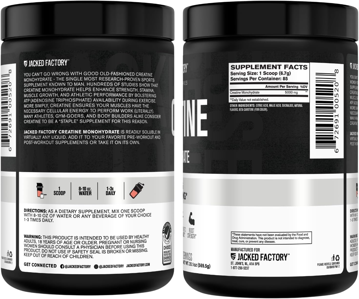 Jacked Factory Creatine Monohydrate Powder 425g - 5g Daily Micronized Creatine Monohydrate for Men and Women, Vegan-Friendly