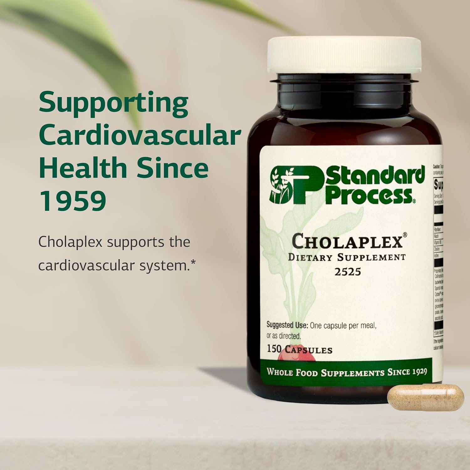 Standard Process Cholaplex - Supplement to Support Heart Health - Supports Healthy Blood Flow & Vascular System - Dietary Supplement to Support