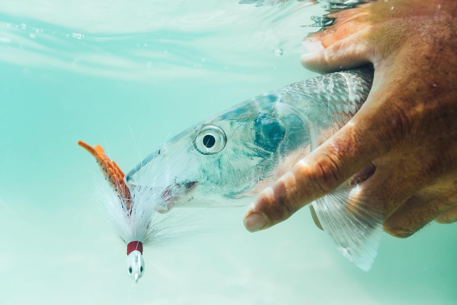 Berkley Gulp! Shrimp Saltwater Fishing Soft Bait