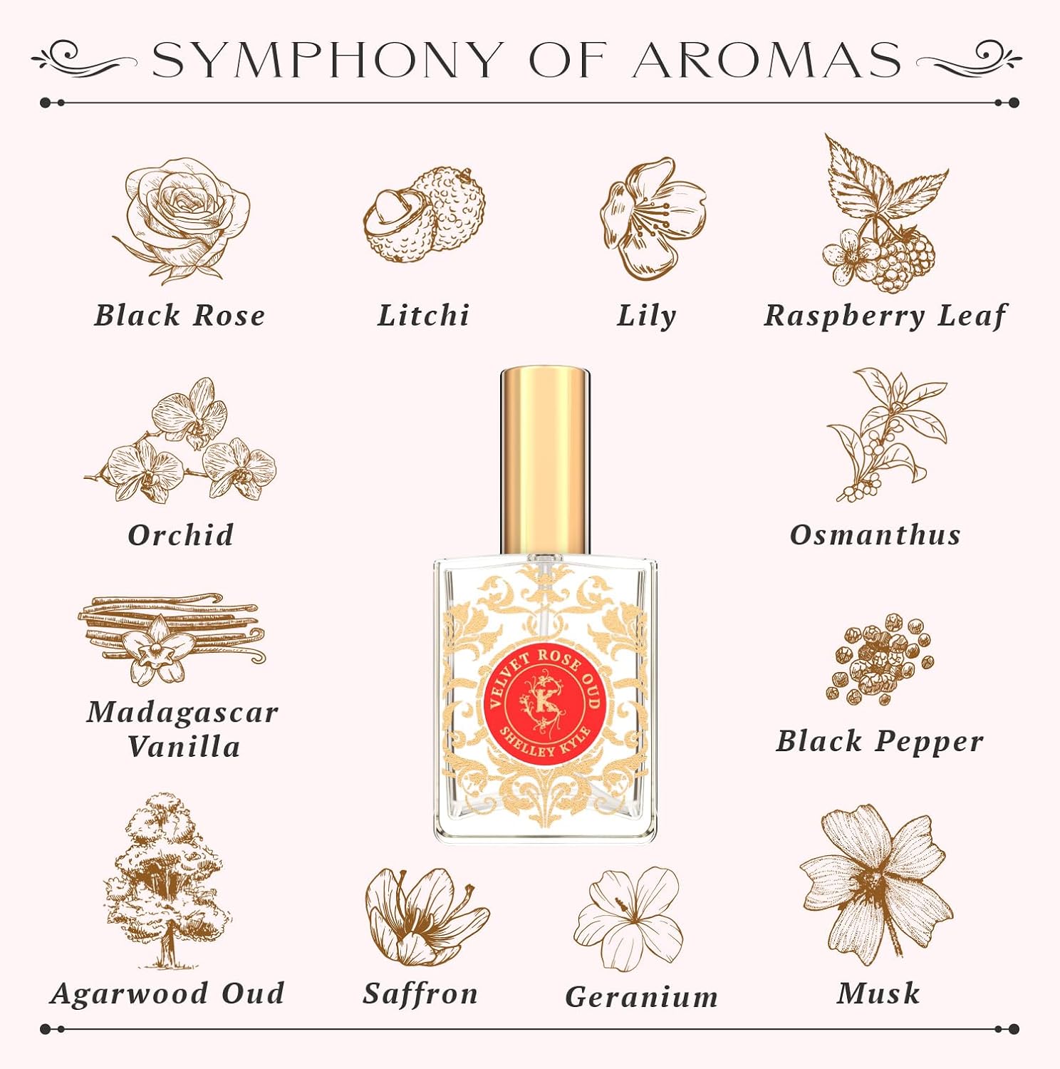 Tiramani Perfume with Perfect Floral Fragrance, Long-Lasting Scent, Great Choice for Everyday Wear, 30ml