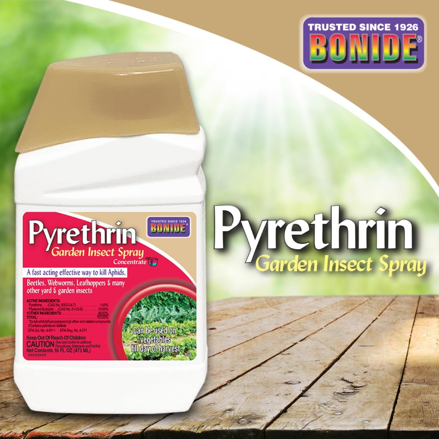 Bonide Pyrethrin Garden Insect Spray Concentrate, 8 oz Ready-to-Mix Fast Acting Insecticide for Outdoor Garden Use | Ready-to-Mix, Fast Acting Insecticide for Outdoor Garden Use