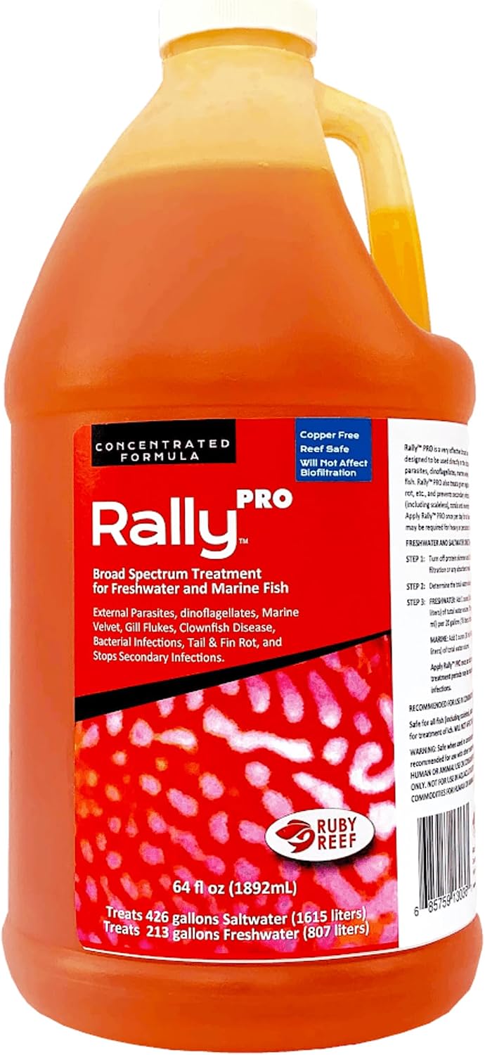 Rally Pro 8 oz. Round ( Pack of 2 )