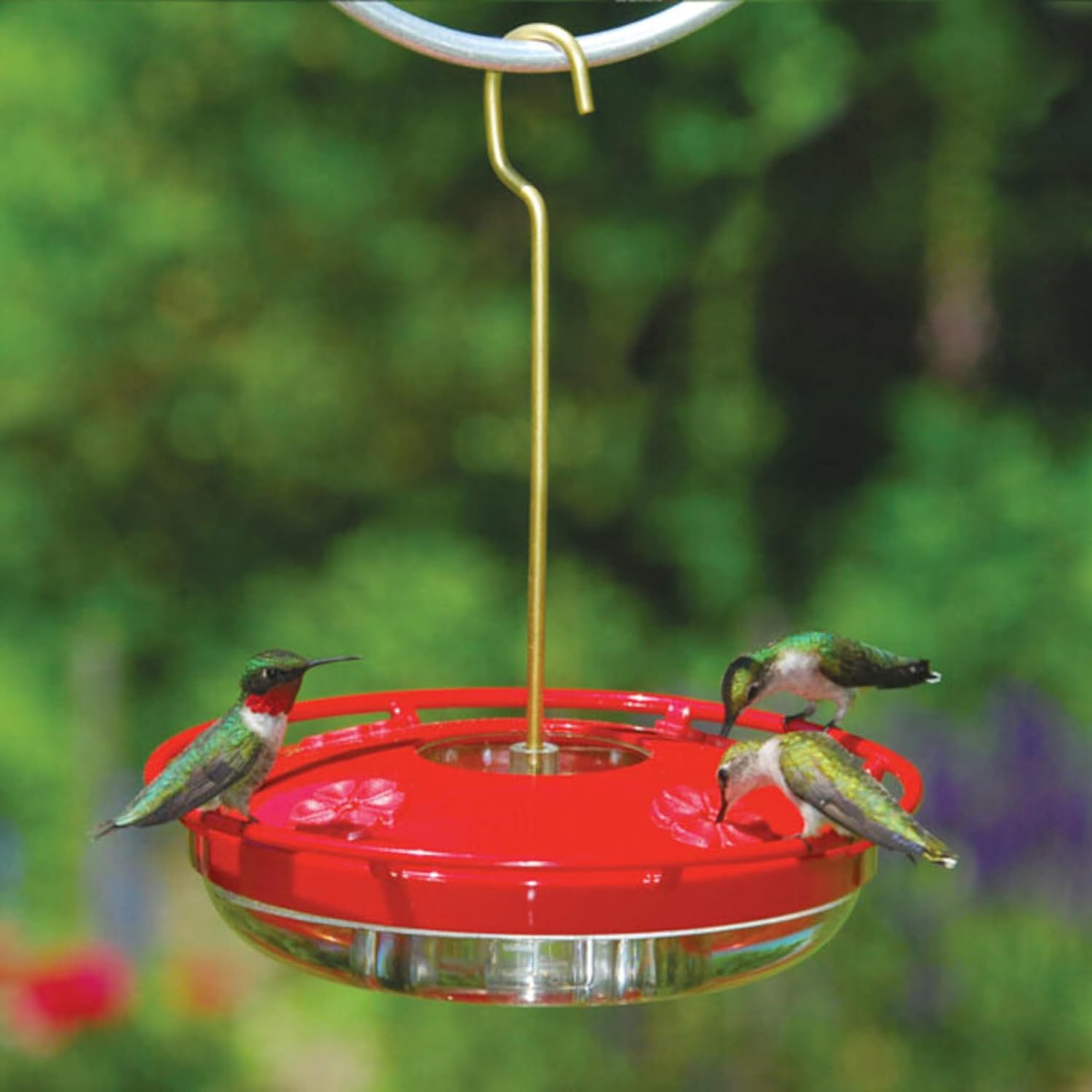 Aspects HummZinger Highview Hanging Hummingbird Feeder - 429, Red,12 oz (Pack of 2)
