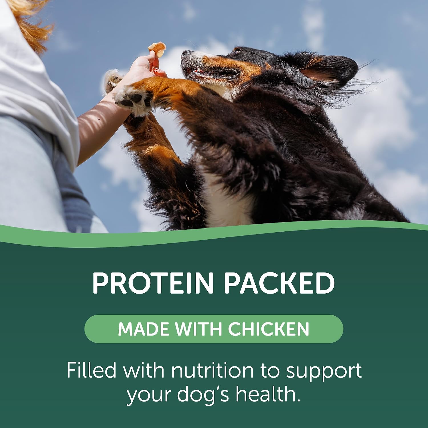 Healthfuls Chicken Wrapped Sweet Potato Dog Treats, 16oz