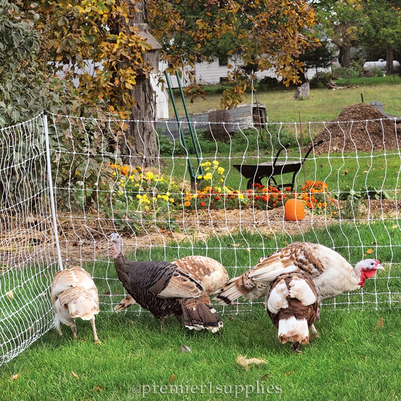 Premier 1 PoultryNet® Plus, Starter Kit for Chickens – 48"H x 100'L | White/black. Includes solar energizer, support posts & tester. Double spike