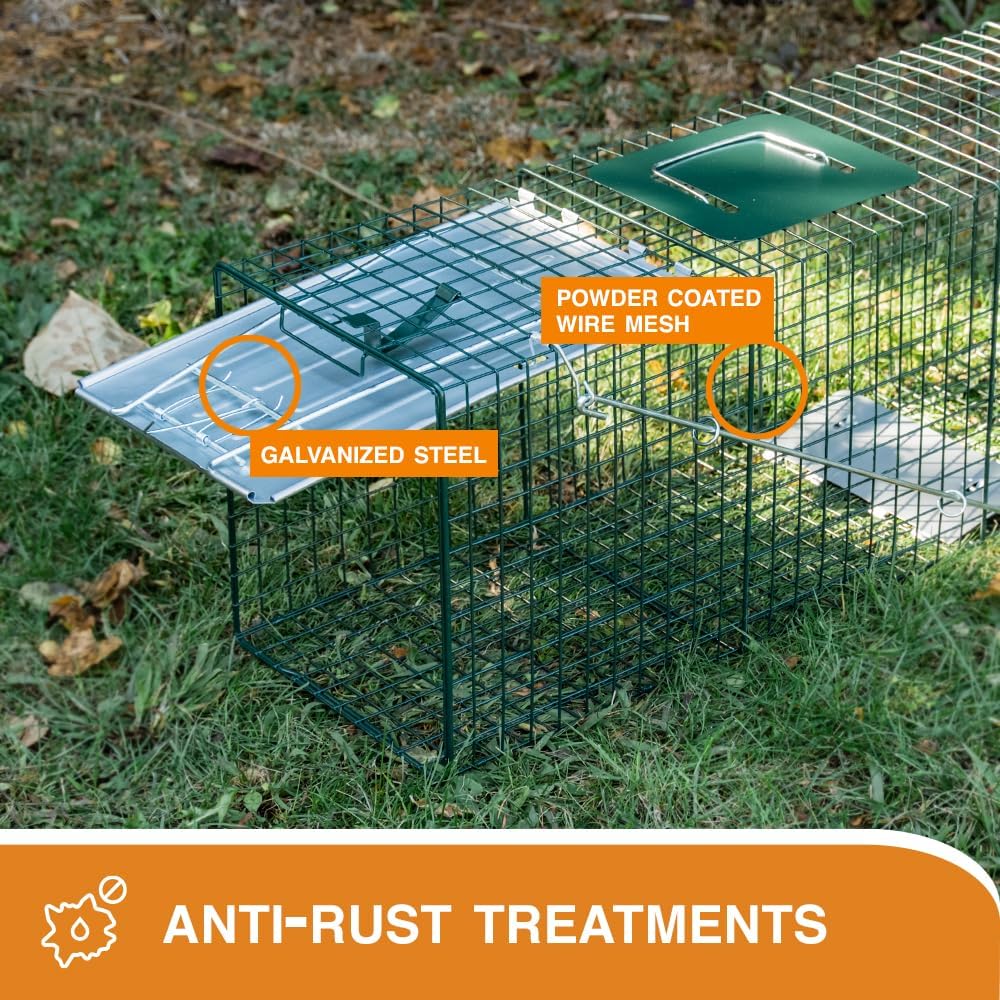 HOMESTEAD Heavy Duty Live Trap - Professional Style One-Door Live Animal Traps for Rabbit, Squirrel, Possum, Skunk, Kitten, Mink Small