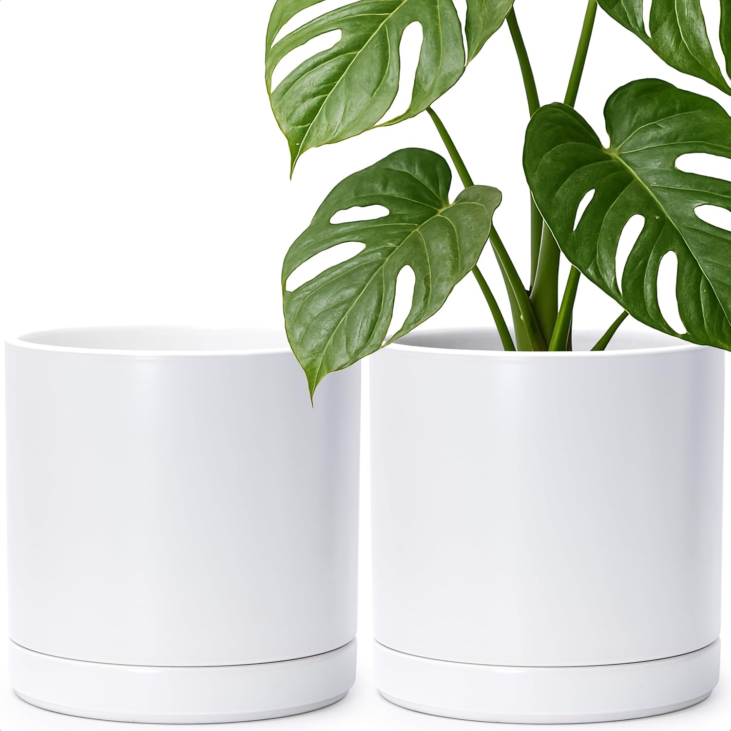 D'vine Dev 2-Pack Ceramic Pots with Saucers, White/Grey, 4.7 in, 94-V-B-6