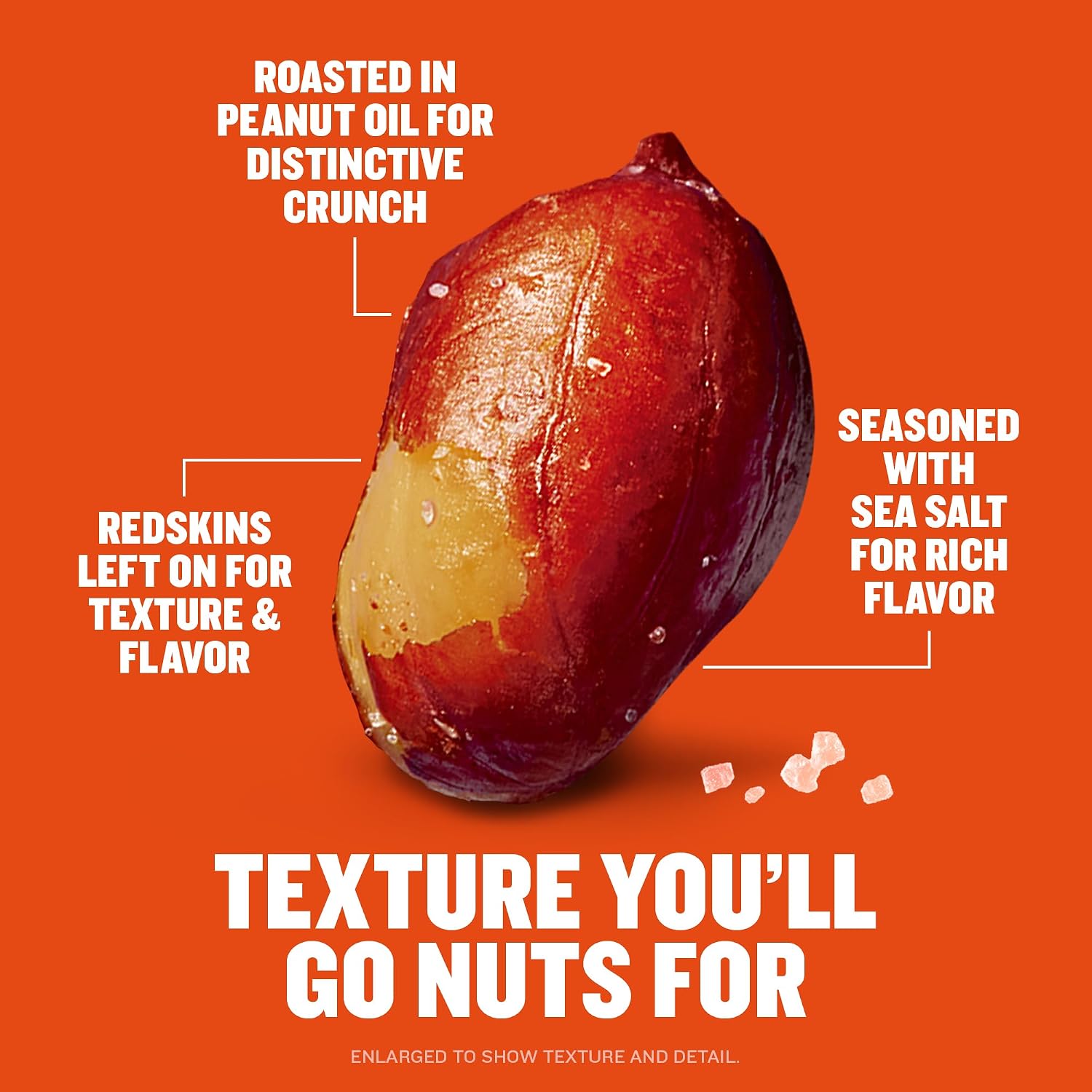 PLANTERS Salted Redskin Spanish Peanuts, Plant Based Protein, 12.5 Oz (6ct) | Roasted Salted Nuts. Crisp texture. Resealable Canister. Snacks for Adults. Party Mix, Party Snacks