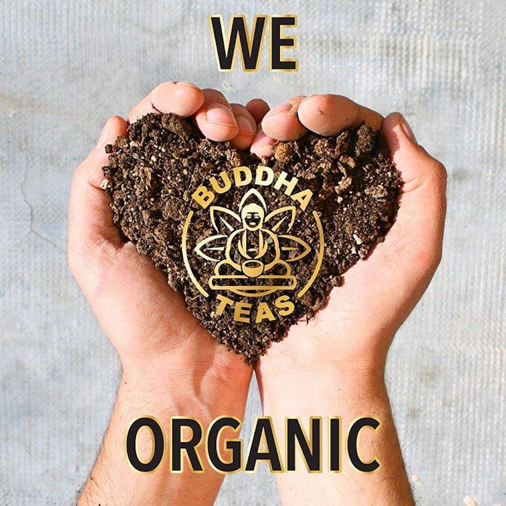 Buddha Teas Organic Hawthorn Berry Tea - OU Kosher, USDA Organic, CCOF, 18 Bleach-Free Tea Bags