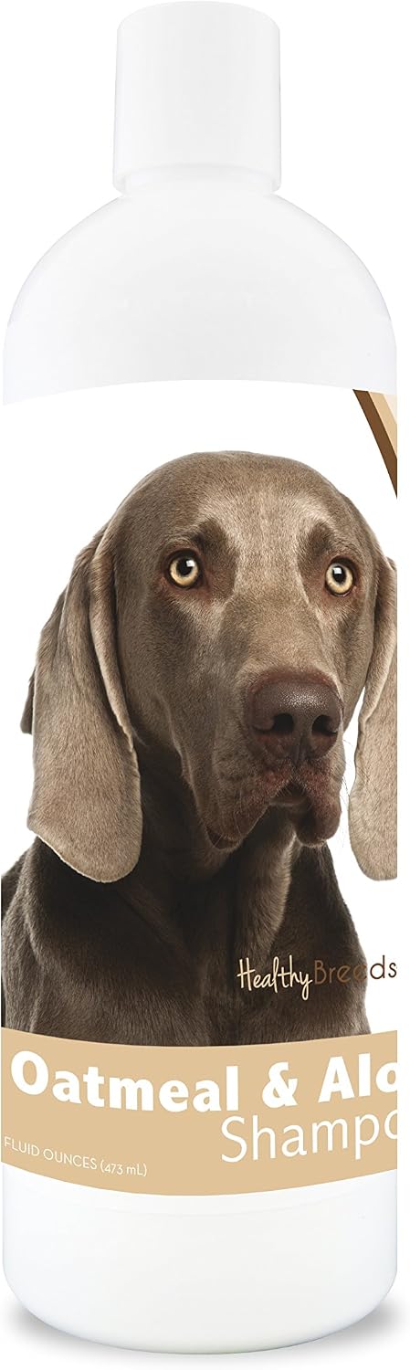 Healthy Breeds Bernese Mountain Dog Oatmeal Shampoo with Aloe 16 oz