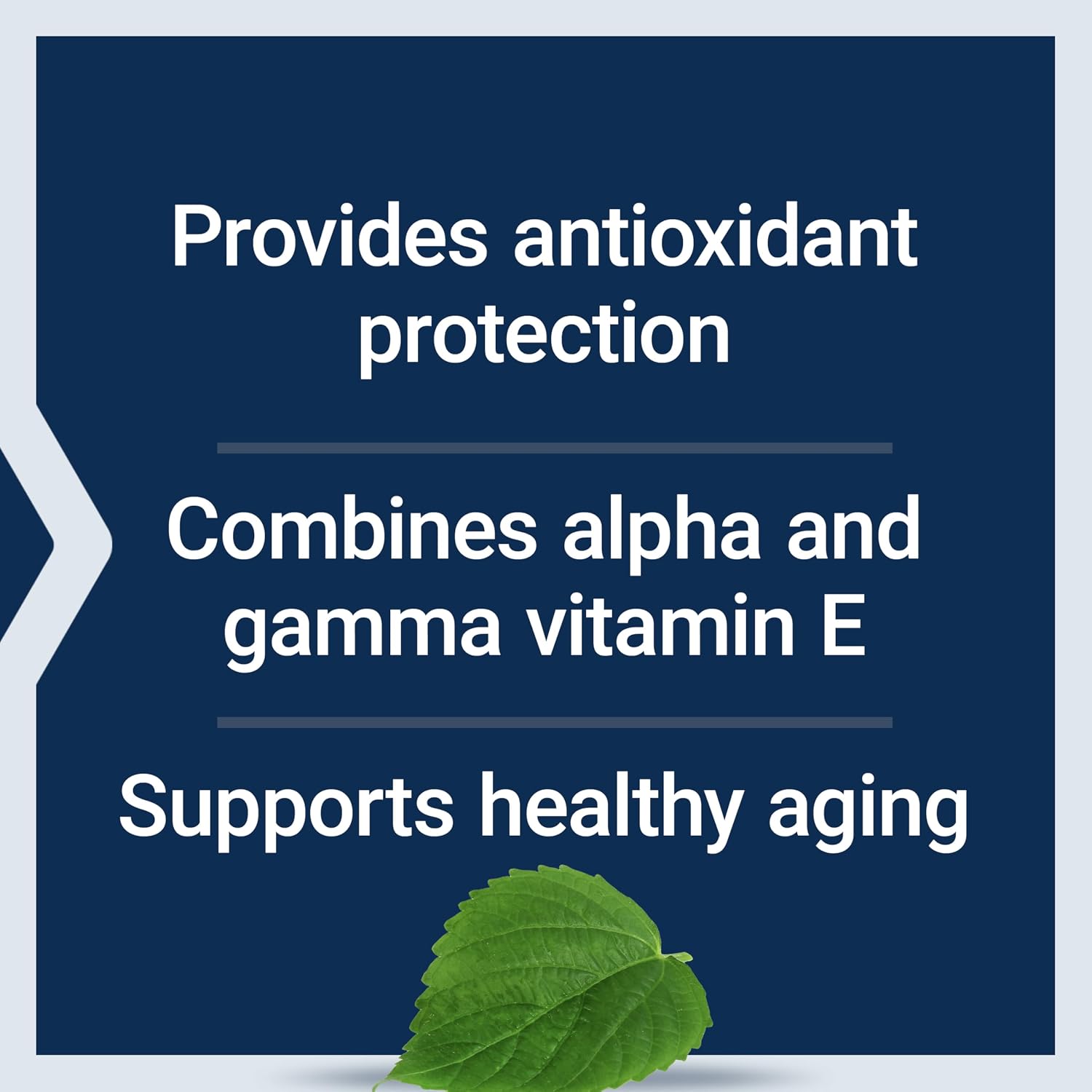 Life Extension Gamma E Mixed Tocopherols, Healthy Aging, Vitamin E Supplement, Enhanced with Sesame lignans, Gluten-Free, Non-GMO