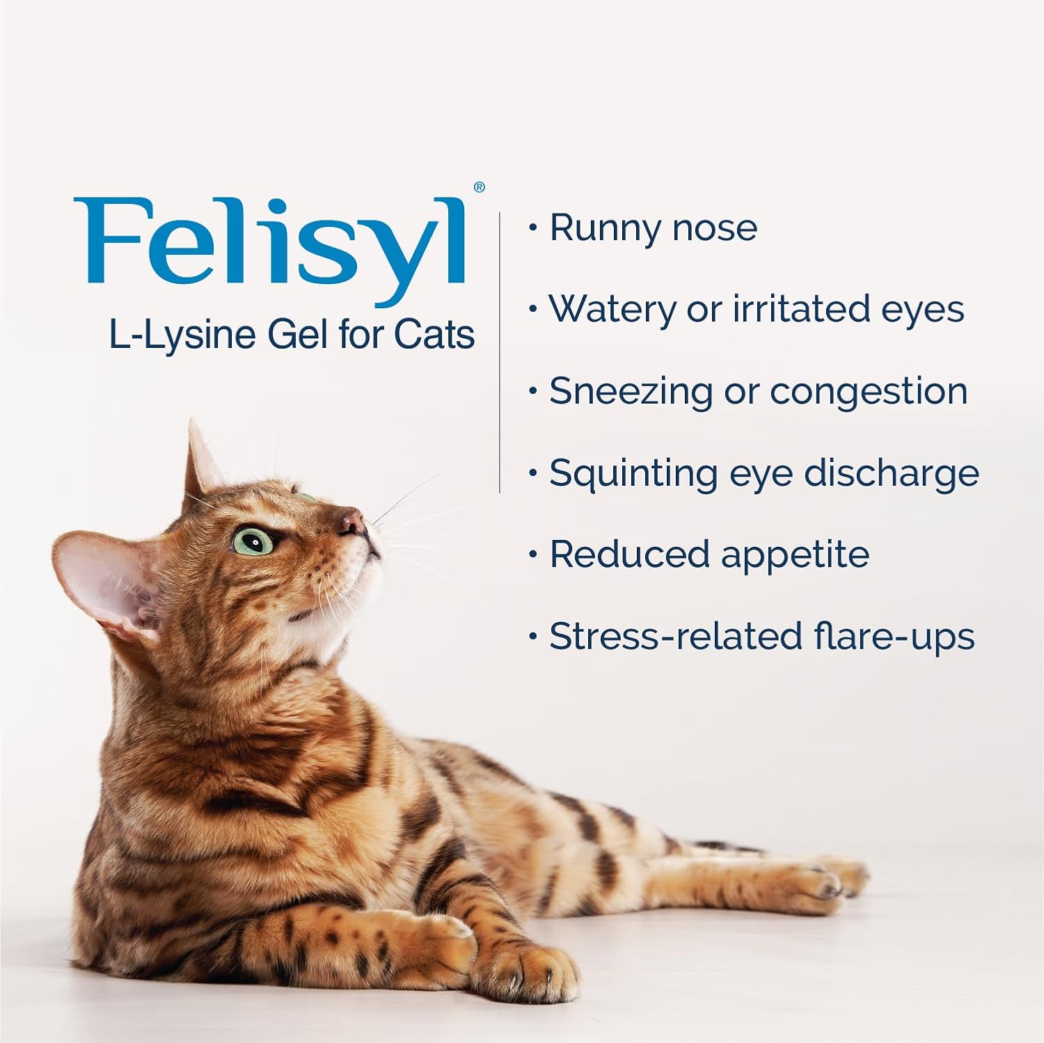 Felisyl L-Lysine Granules for Cats 100g (3.5 oz, 310 Servings) – Supports Immune, Respiratory, and Eye Health. Eases Sneezing, Runny Nose