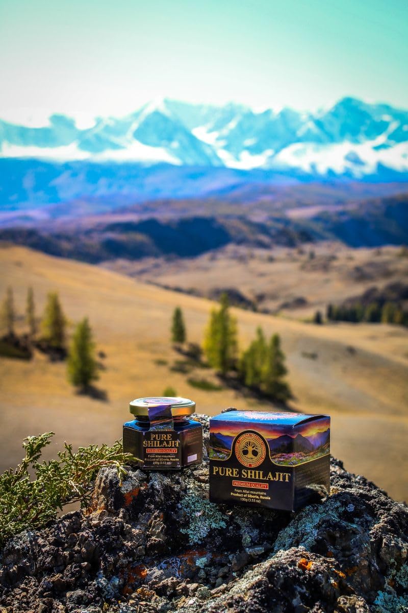 Pure Authentic Shilajit Siberian Mumijo Resin, 100 grams, 3.5 OZ