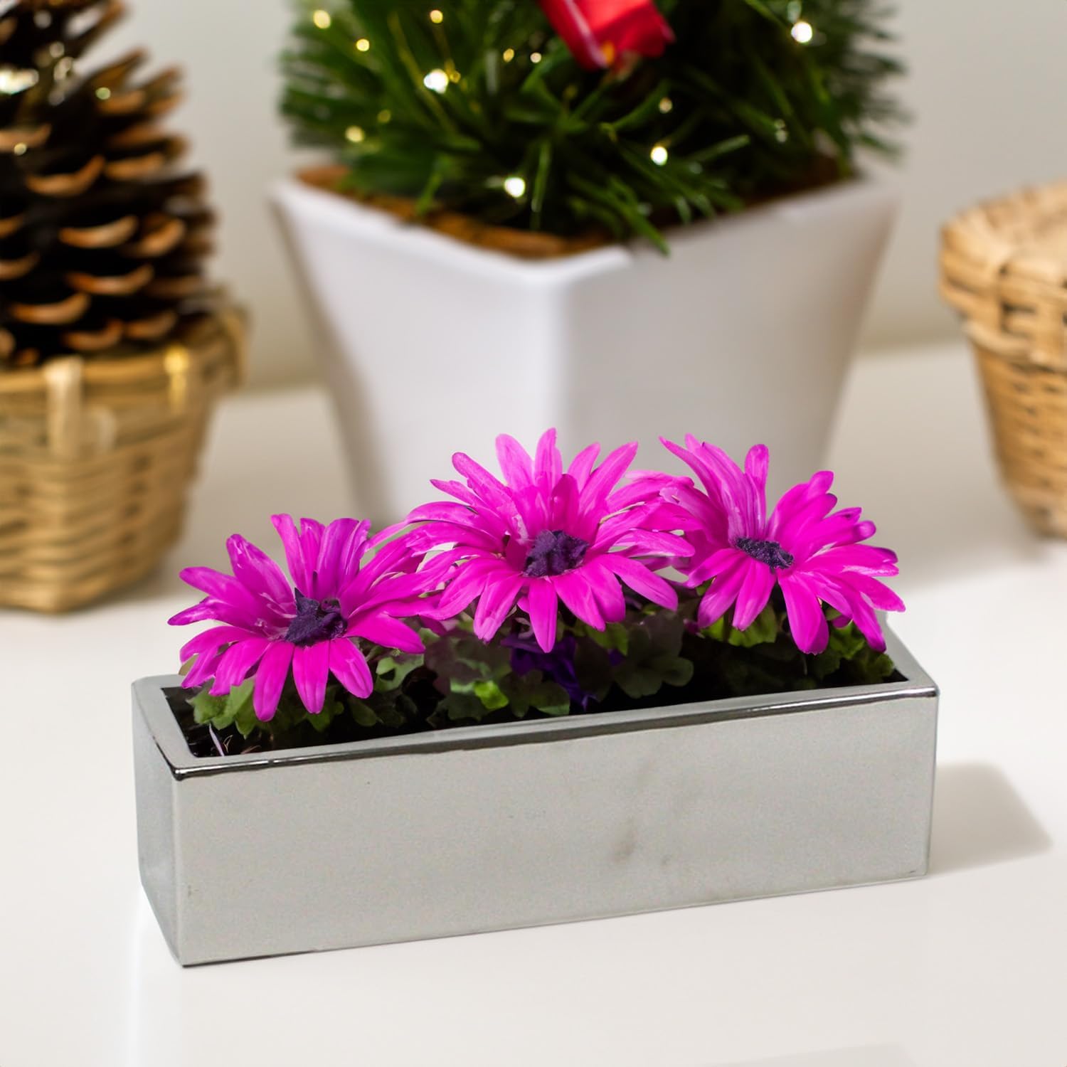 WGVI Long Rectangle Ceramic Planter Vase in White 14" x 4" x 4"H, Rectangular Box Block Terrarium Pot, Flower Arrangement, Tabletop Centerpiece