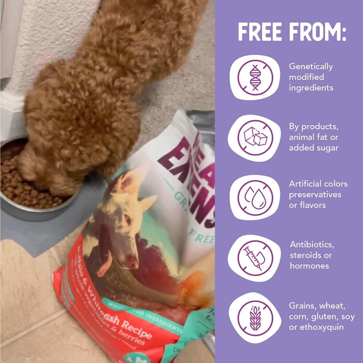 Health Extension Grain Free Venison & Sweet Potato Dry Dog Food - 30+ Superfoods and Probiotics for All Life Stages (10 lb)