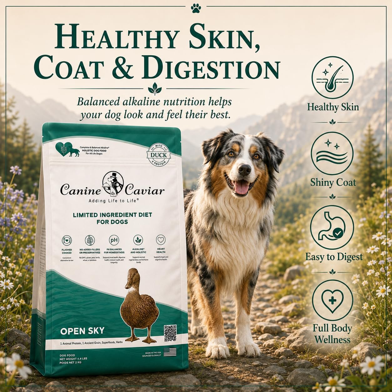 Canine Caviar - Open Range: Water Buffalo & Chickpea Alkaline Dry Dog Food, Limited Ingredients, Gluten-Free, Based on Science & Research, Veterinary Alternative Diet (22 Pound Bag)