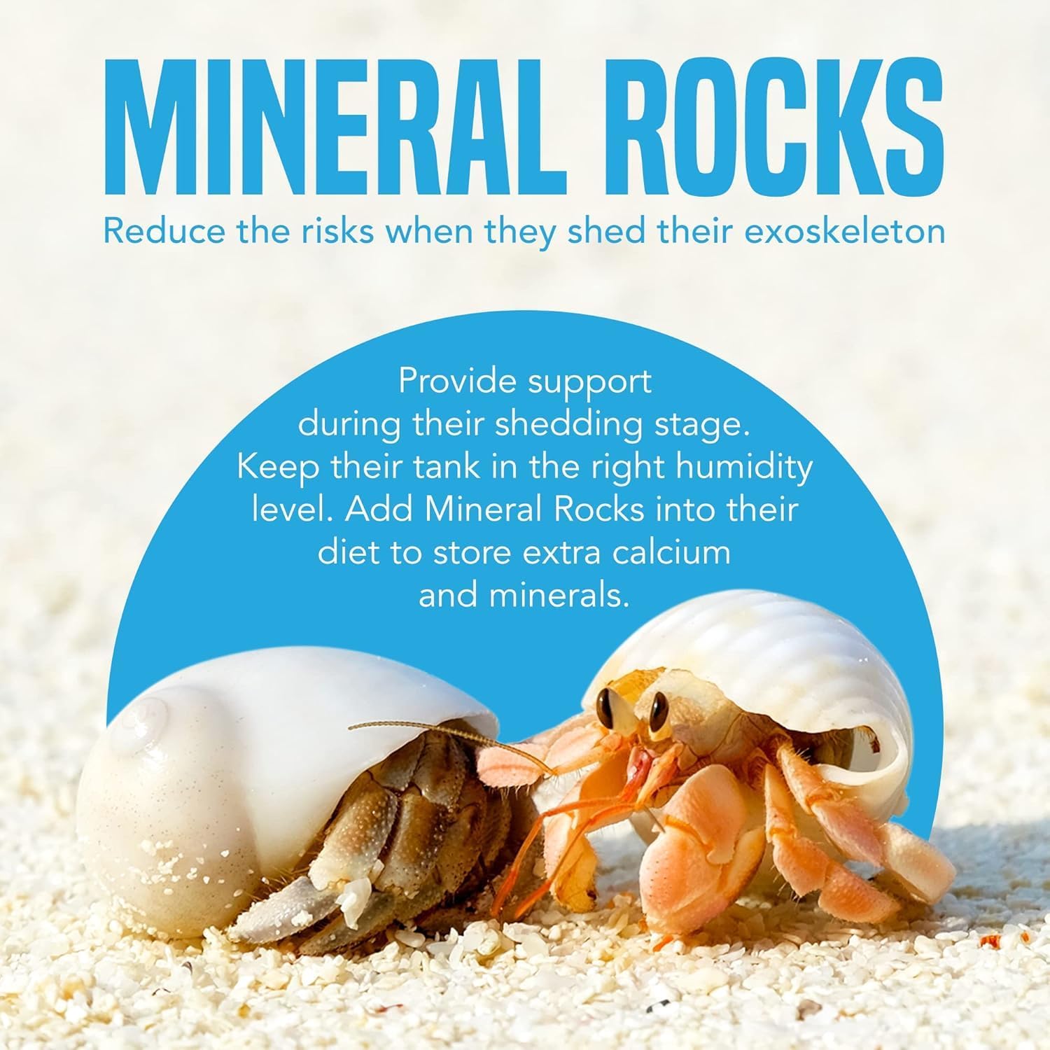 JOR Water Conditioner Calcium Rocks for Baby Shrimps, Isopods, and Crayfish, Enhances Pet Color, Provides Hideout, Breeding Spot