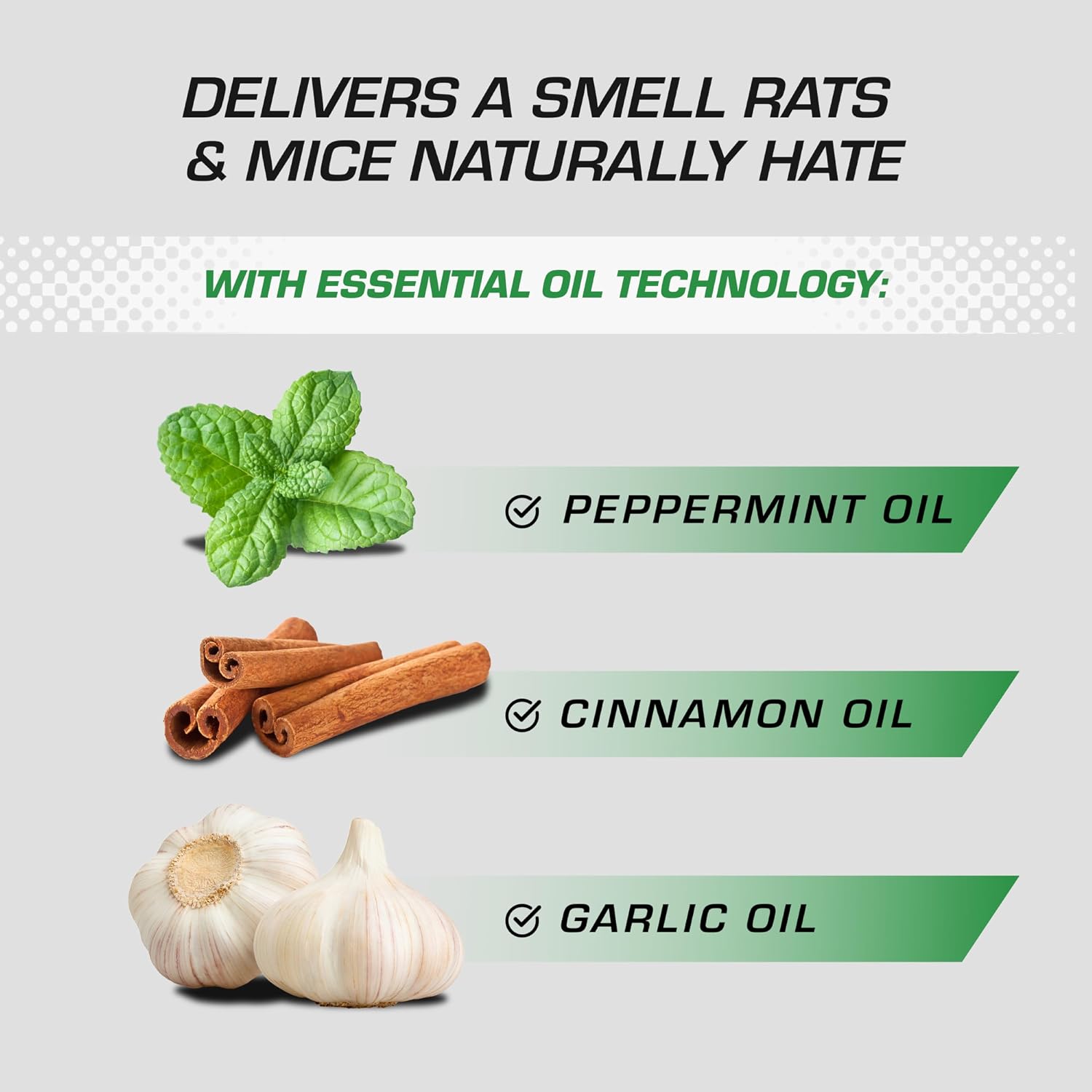 Tomcat Repellents Rodent Repellent Ready-to-Use with Comfort Wand, 1 gal. | For Indoor and Outdoor Mouse and Rat Prevention, Peppermint Oil Spray for Rodents with Cinnamon & Garlic Essential Oils