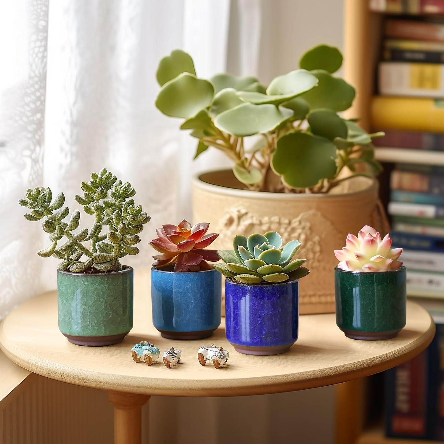 T4U 2.5 Inch Small Ceramic Succulent Planter Pot with Drainage Hole Set of 6, Ice Crack Glaze Plant Container for Cactus, Gardening Plant Gifts for Women Mom Aunt Home Office Decor | Cactus planters set, indoor herb garden, bonsai tree starter, tabletop…