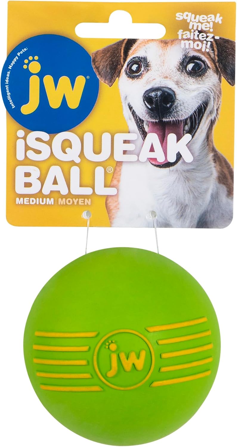 JW Squeak-ee Ball Puppy Toy | Water Resistant Design.