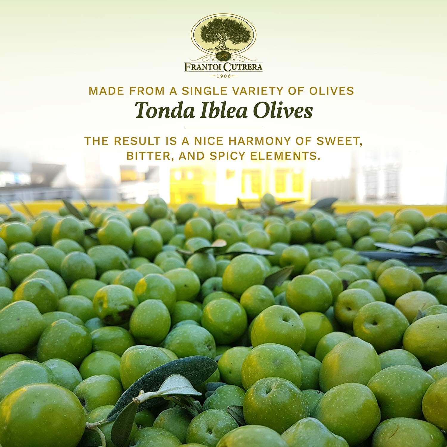 Frantoi Cutrera Primo Cold Extracted Italian Extra Virgin Olive Oil Cold Pressed, Polyphenol Rich Olive Oil