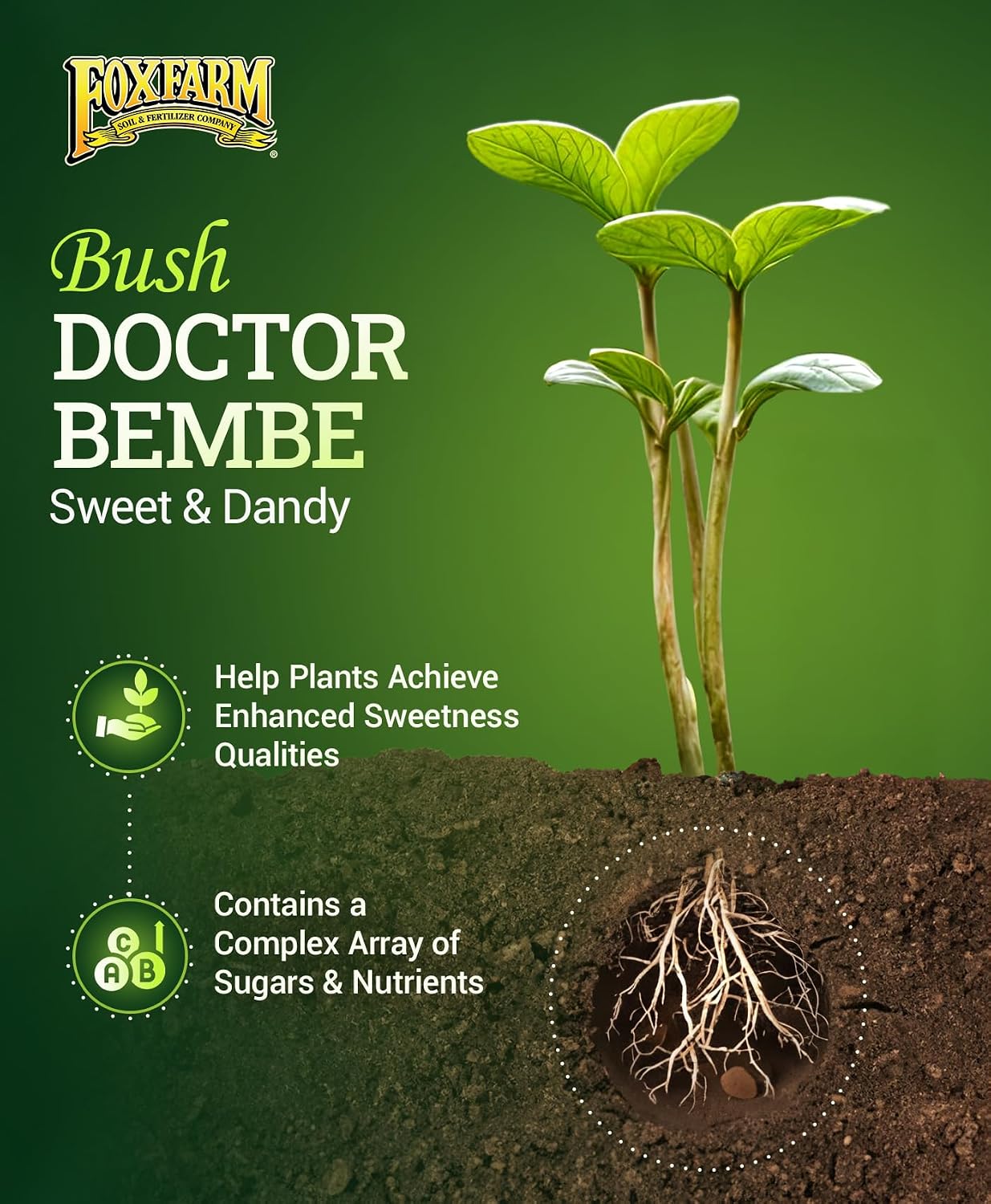 FoxFarm Bush Doctor Bembé Sweet & Dandy Liquid Plant Fertilizer - Complex Nutrient Blend - 0-1-3 PK Fertilizer for In-Ground & Hydroponic Gardens - 1 Quart