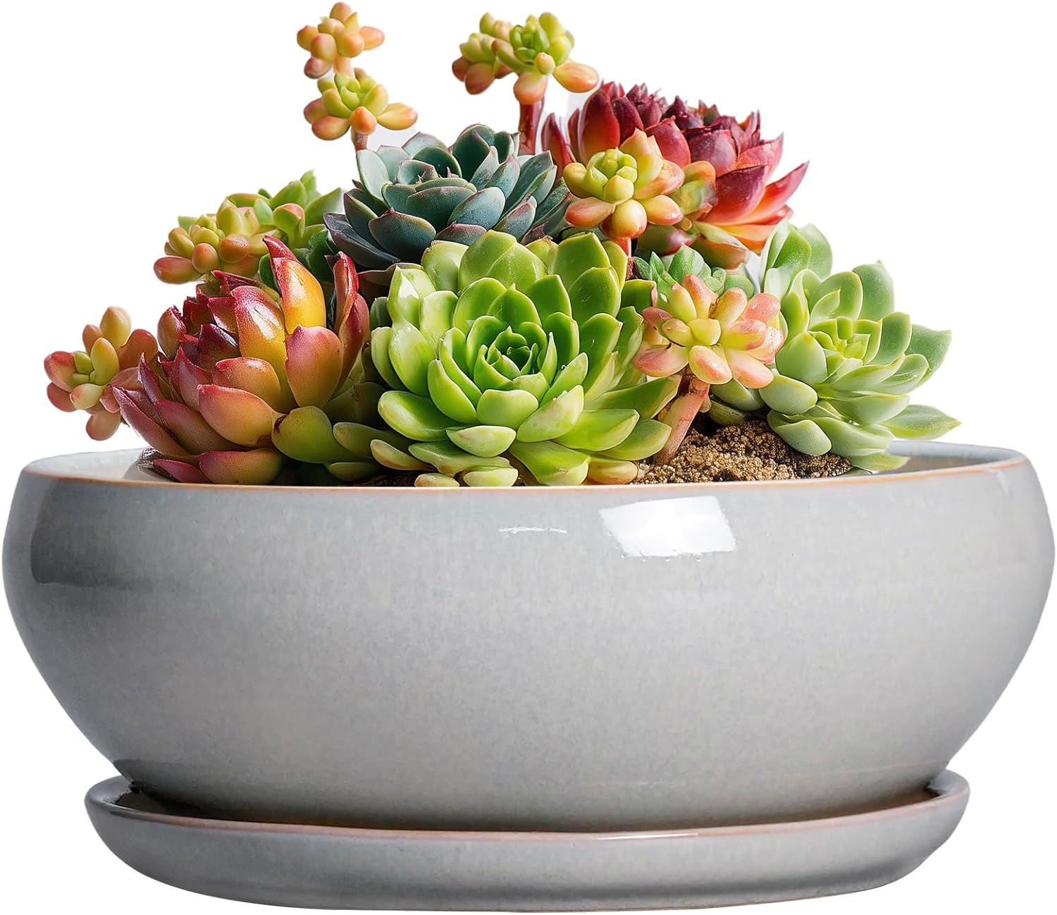 SQOWL 7 Inch Round Ceramic Succulent Planter Pot Drip Glazed Shallow Planter with Drainage Bamboo Tray for Indoor Plants
