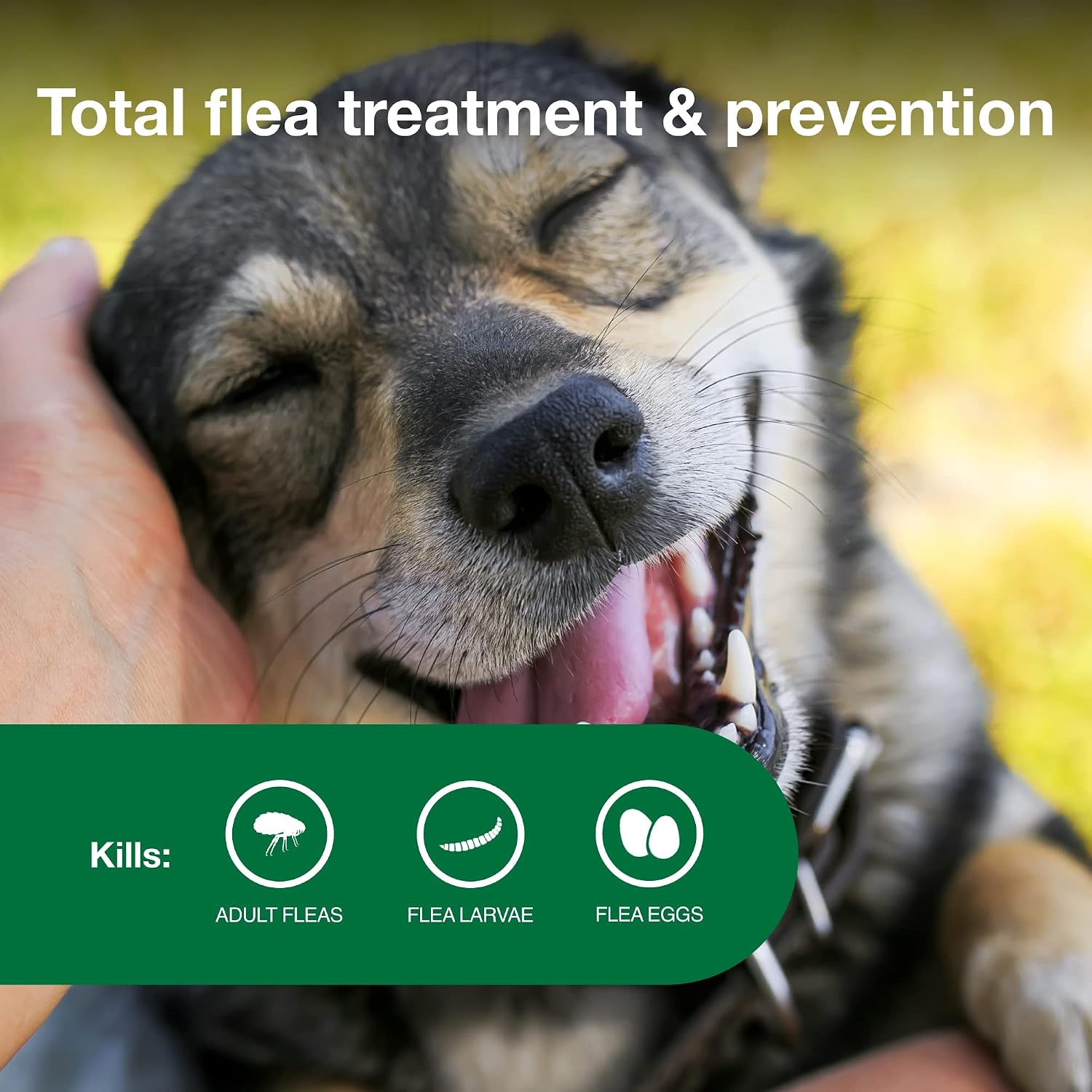 Advantage II Large Dog Vet-Recommended Flea Treatment & Prevention | Dogs 21-55 lbs. | 4-Month Supply
