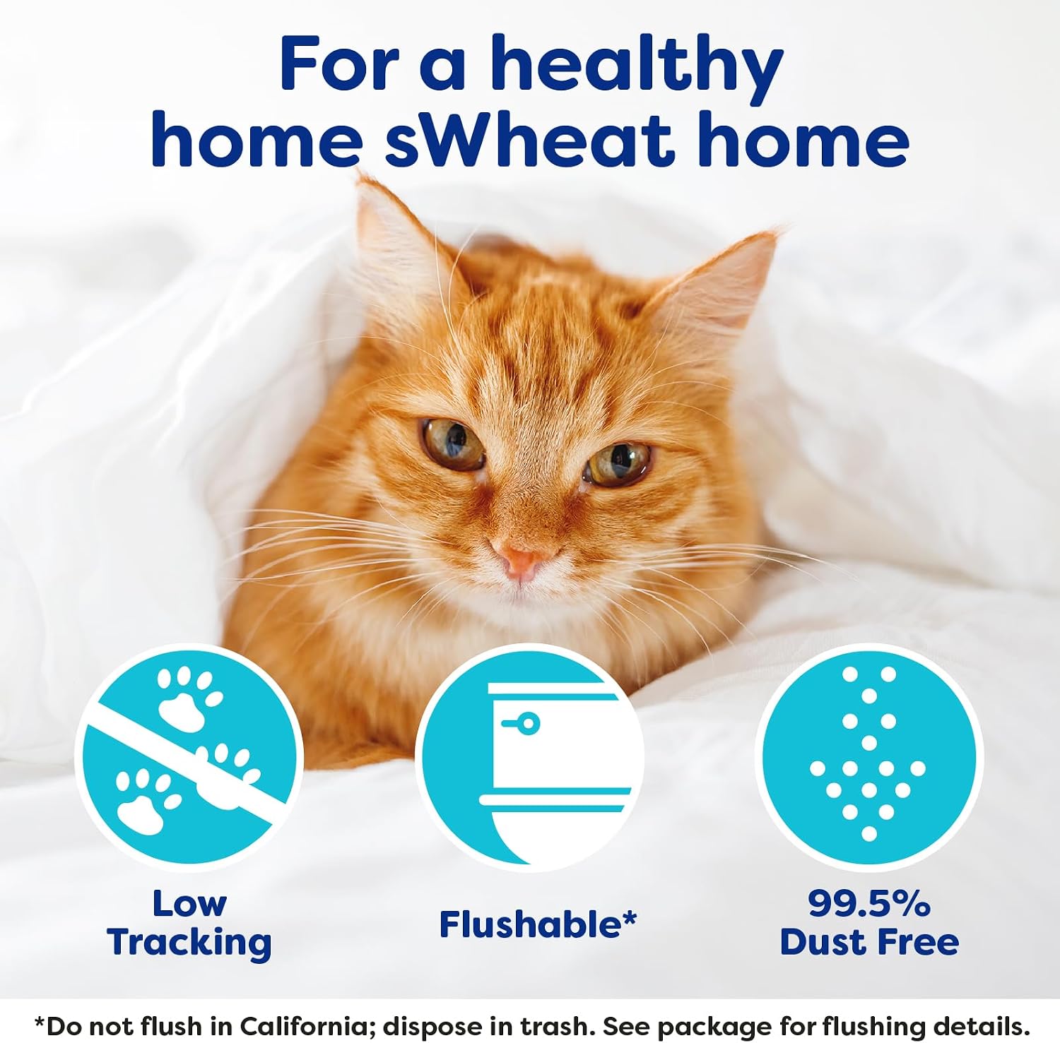 sWheat Scoop Natural Wheat Multi-Cat Litter, Superior Clumping with Odor Neutralizing Enzymes, 25 Pound Bag