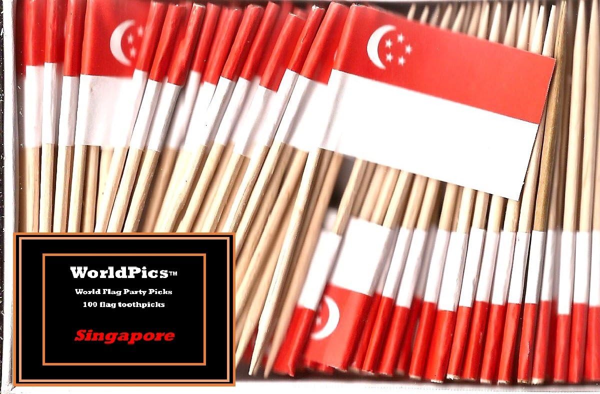 One Box of 100 Nicaragua Toothpick Flags, 100 Small Mini International Flag Cupcake Toothpicks or Cocktail Picks