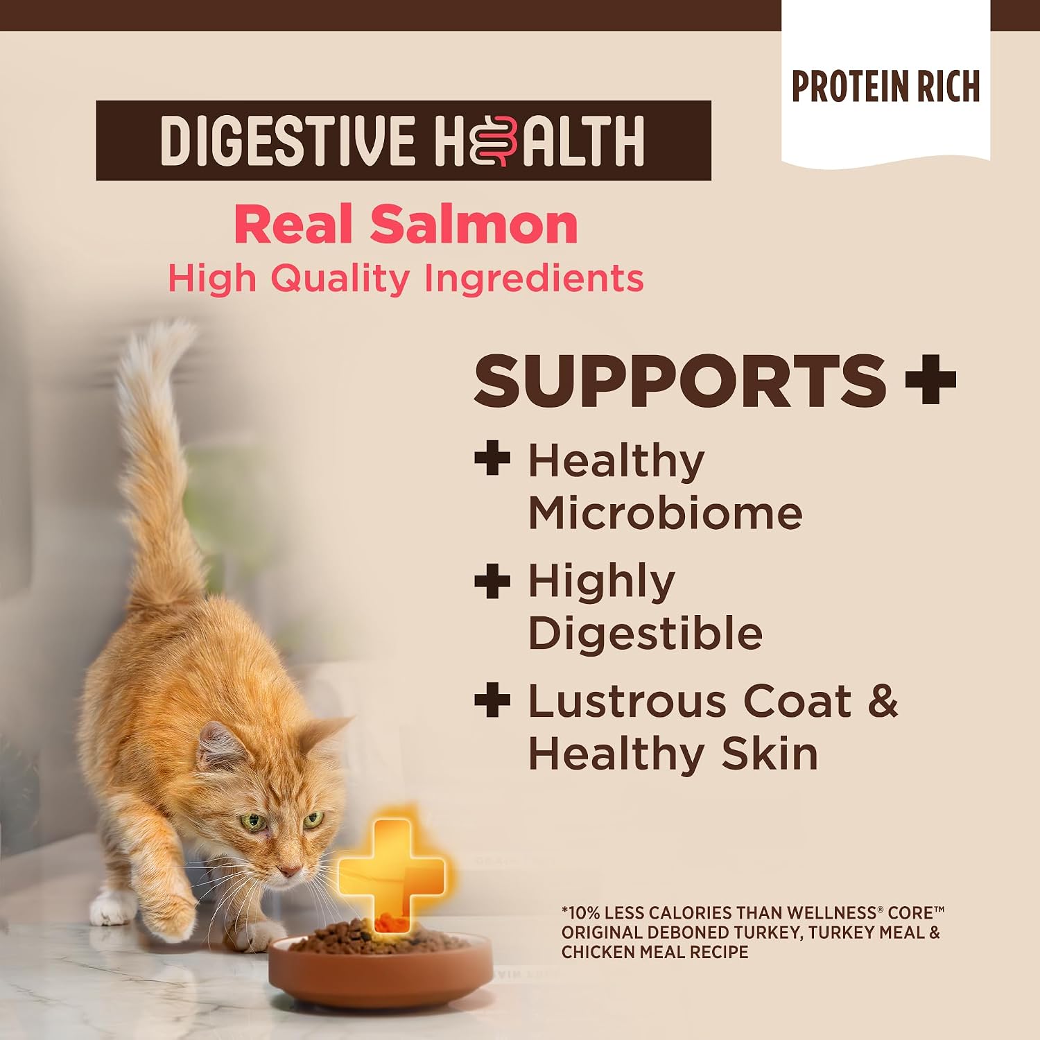 Wellness CORE+ Adult Dry Cat Food, Natural, Wholesome Grains Kibble, Digestive Health Chicken and Rice Recipe, 5 lb Bag