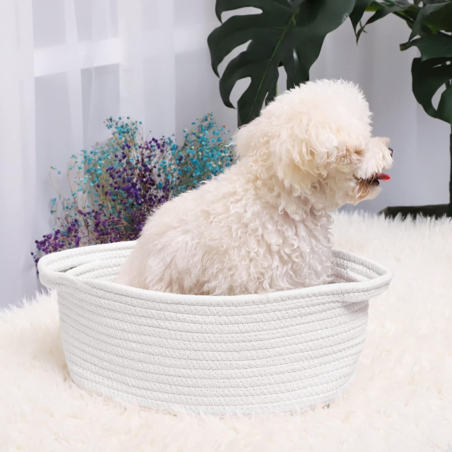 ABenkle Small Basket with Handles, Boho Decorative Rope Woven Dog Cat Toy Storage Bin Shelf Storage Organizer, Easter Christmas Gift Basket, 12"x8"x5"