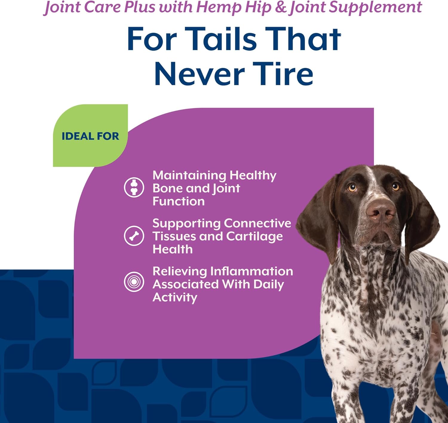 NaturVet Hip & Joint Supplement, Joint Care Plus for Dogs, 120ct