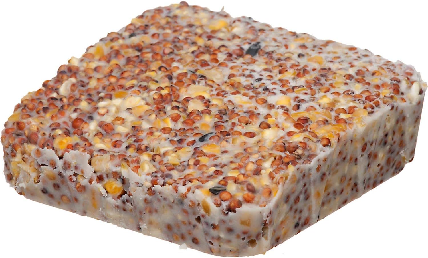 Morning Song 014192 11463 Year-Round Suet Wild Bird Food, 11-3/4 oz