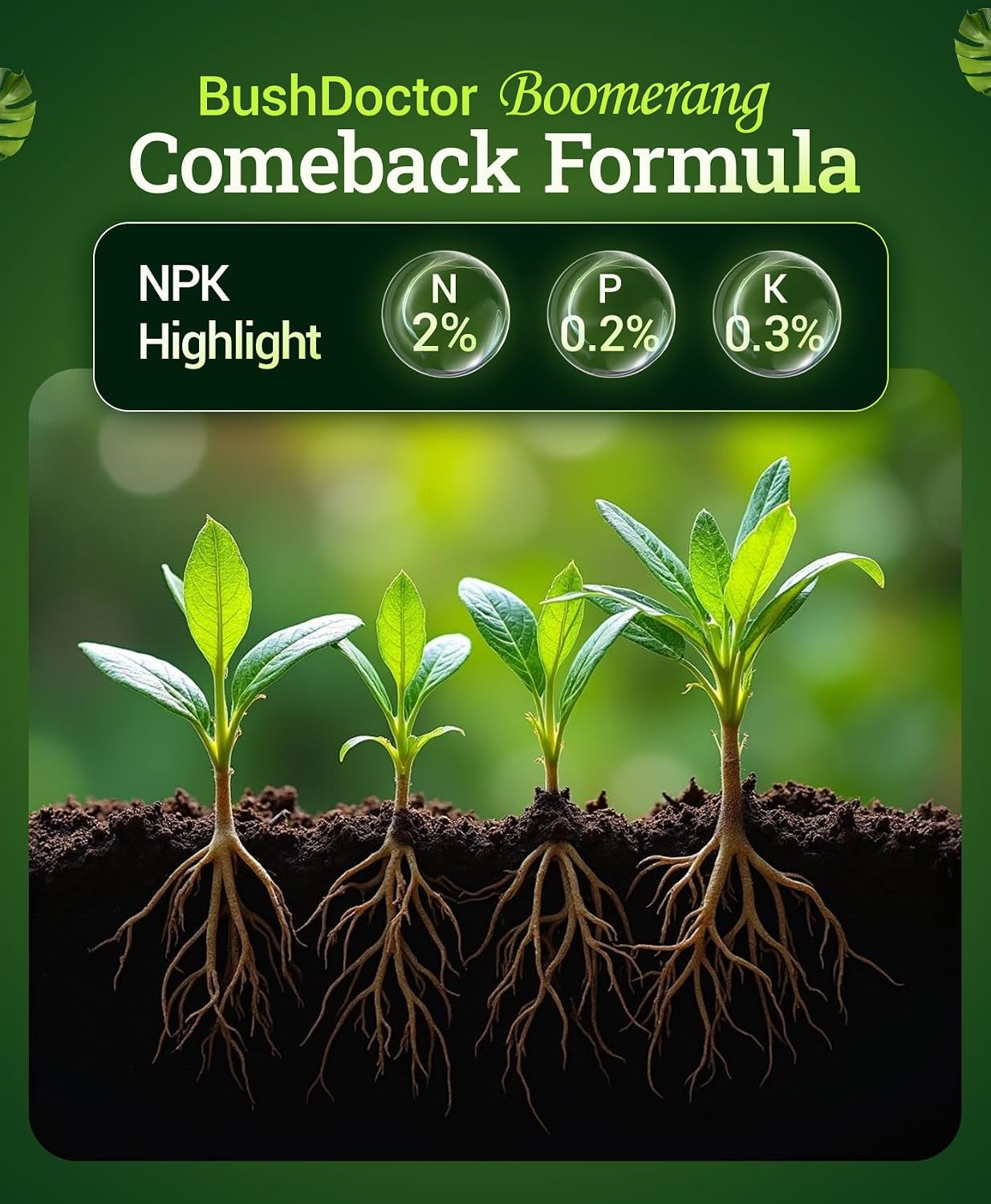 FoxFarm Bush Doctor Boomerang - 2-0.2-0.3 Comeback Formula - Microbial-Based Liquid Plant Fertilizer for Root Zone Support, Immediate Nutrient Uptake - Helps Plants Recover from Abiotic Stress-1 Pint