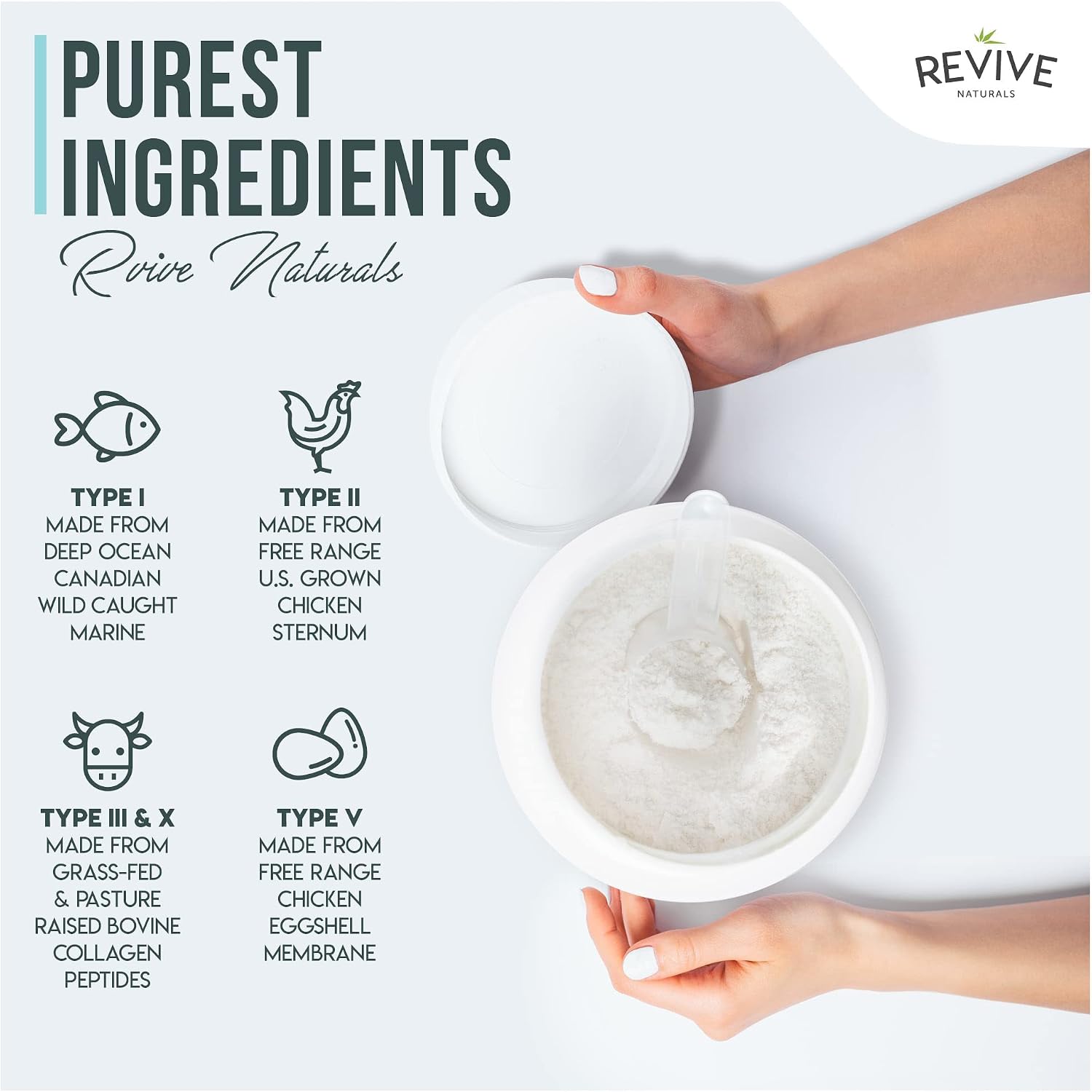 Revive Naturals Multi Collagen Hydrolyzed Protein Powder (16oz) - Types I, II, III, V & X - Grass Fed Bovine, Wild Caught Marine, Free Roaming Chicken & Eggshell Collagen Peptides,
