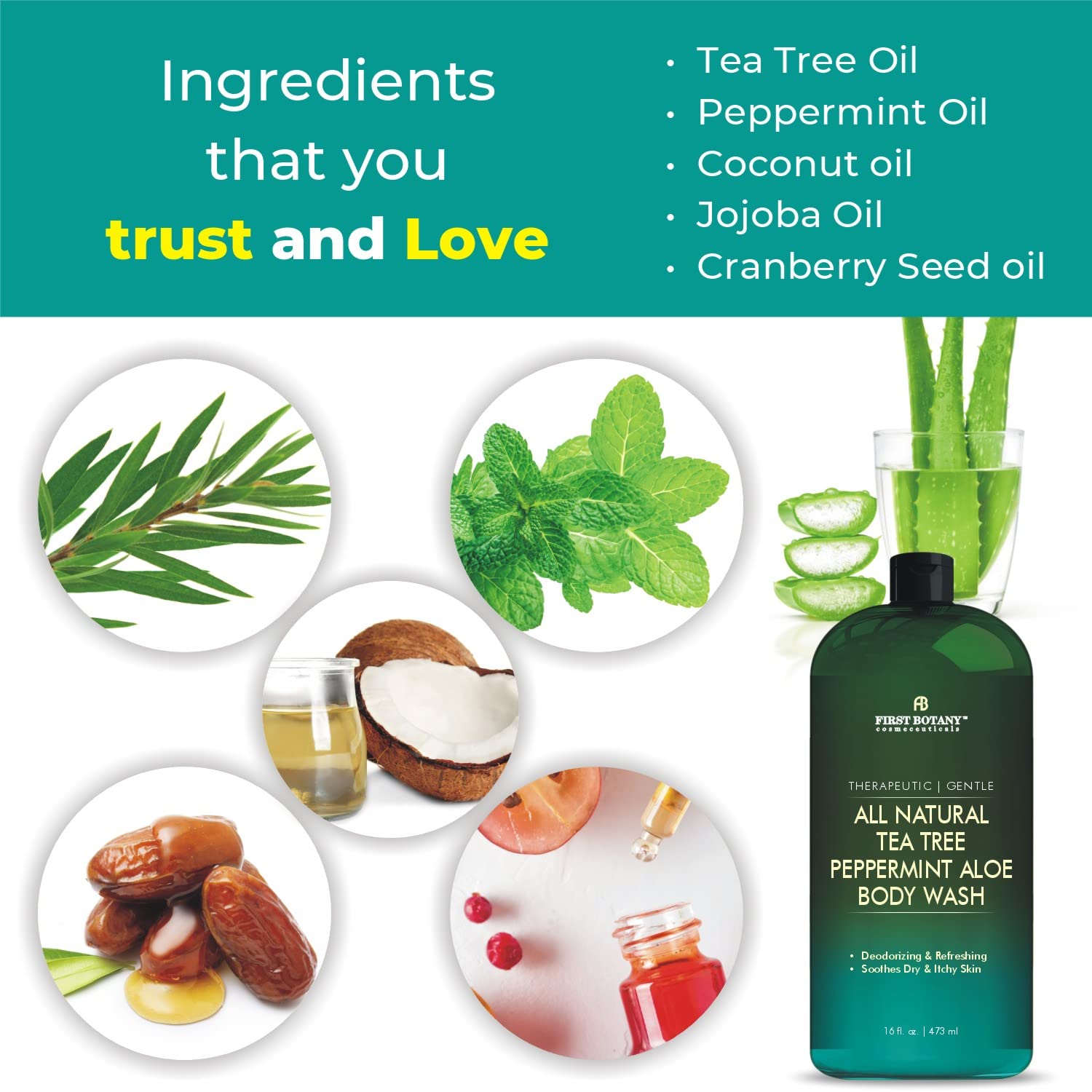 Tea Tree Eucalyptus Body Wash & Skin Cleanser for Women & Men, 16 Fl Oz