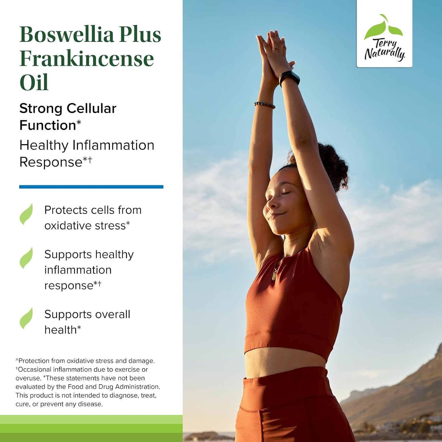 Terry Naturally Boswellia Plus - Healthy Inflammation Response - 60 Count | BosPure, Boswellia