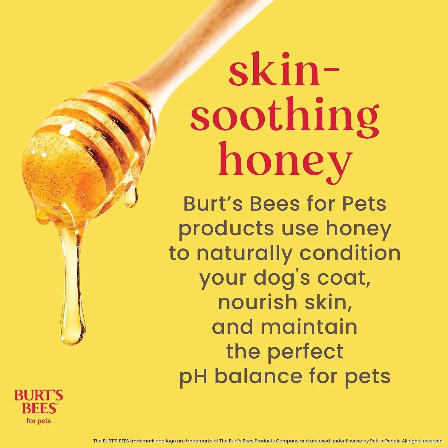 BURT'S BEES FOR PETS Ear Cleaner for Dogs with Pepeprmint and Witch Hazel, 99.7% Natural Origin Formulas, Dog Ear Cleaner, Ear Cleaning Solution for Dogs, 4 oz | 99.7 percent natural origin formula, gentle ear cleaning solution, for routine daily groomin…