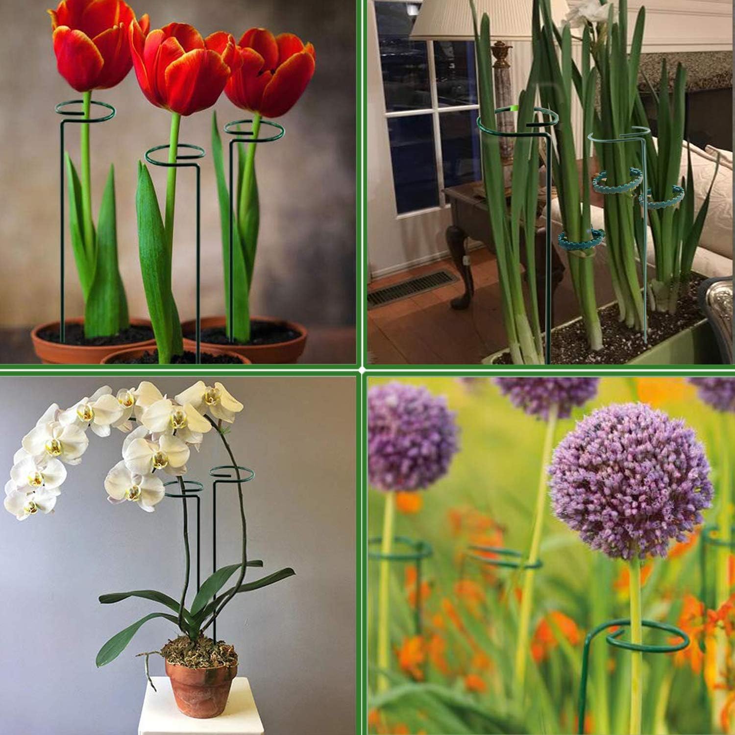 30 Inch Or 16 InchPlant Stakes for Flowers - 5 Pack, Adjustable Height