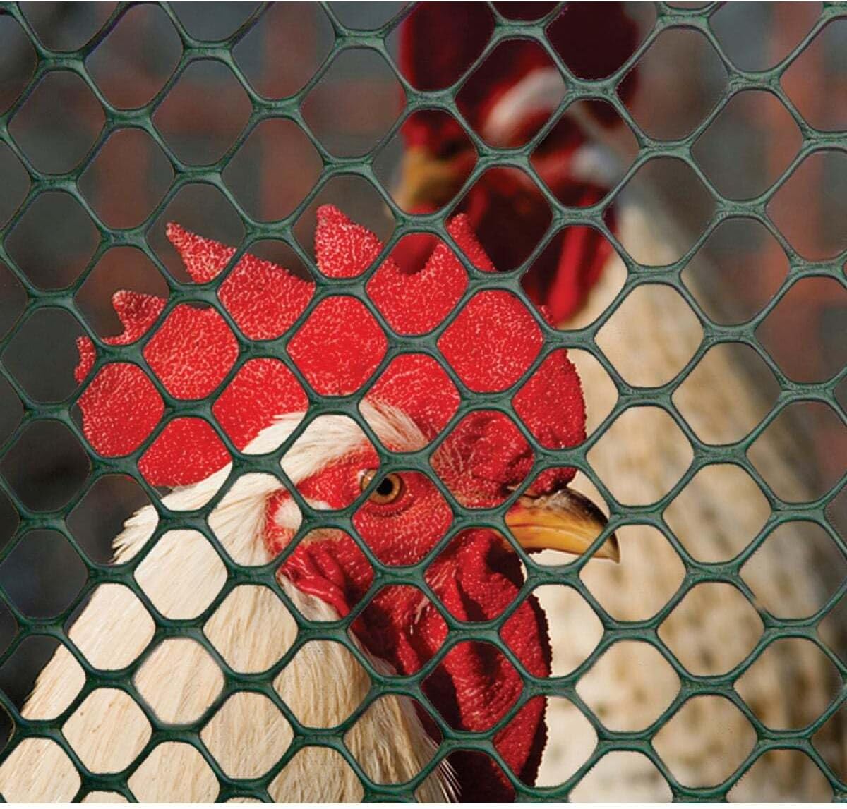 Tenax Poultry Fence - Green Plastic Poultry Fencing, Lightweight, Weather Resistant - 3-ft x 25-ft - Plastic