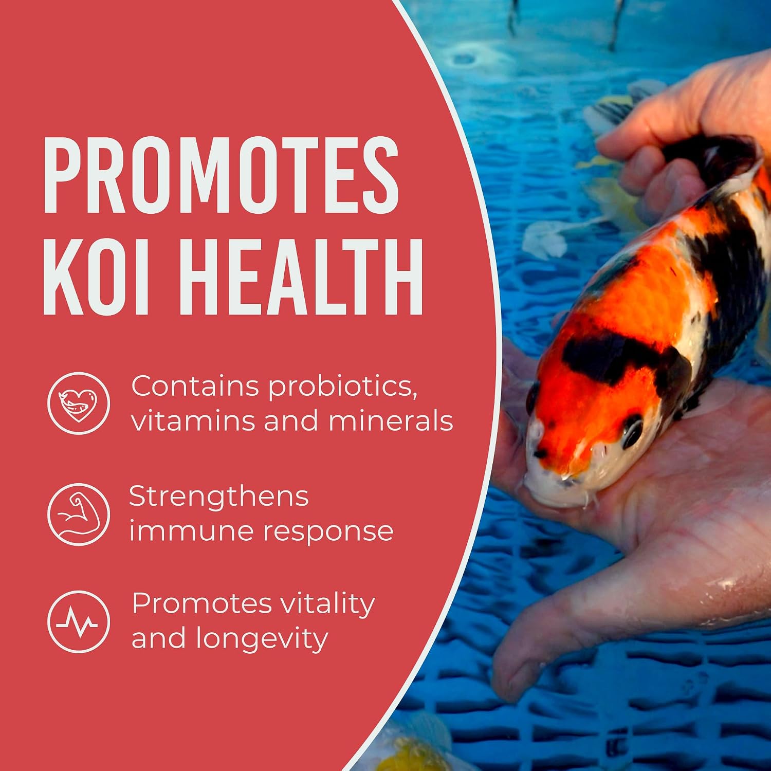 Blue Ridge Koi Platinum Pro 41% Protein Fish Food, 3/16" Pellets, 4.5 lb | Floats, softens fast; Spirulina & Canthaxanthin color support; probiotic-enriched; warm-season formula