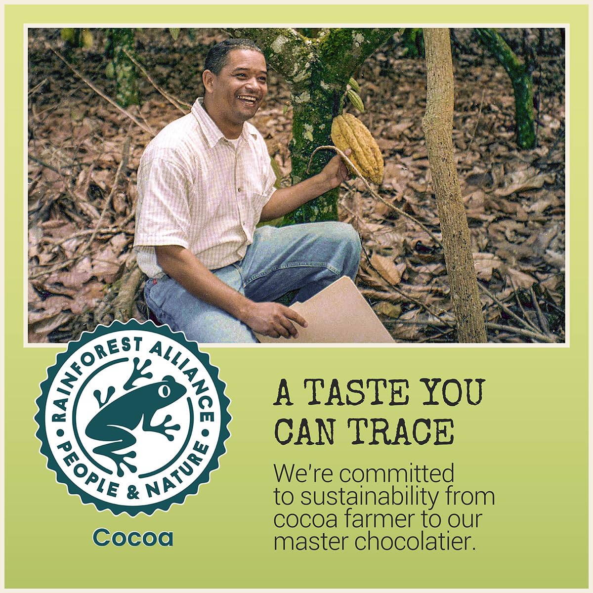 Chocolove Creamy Milk Chocolate Bars | 33% Cocoa | Crafted with Silky Premium Chocolate | Non-GMO, & Gluten-Free, 3.2 oz Bar (12 Pack)