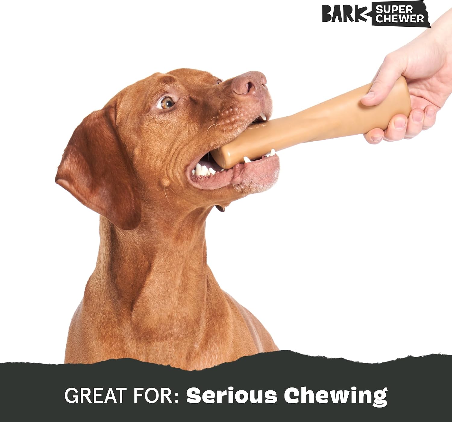 BarkBox Turkey Super Chewer - Toy for Large Dogs